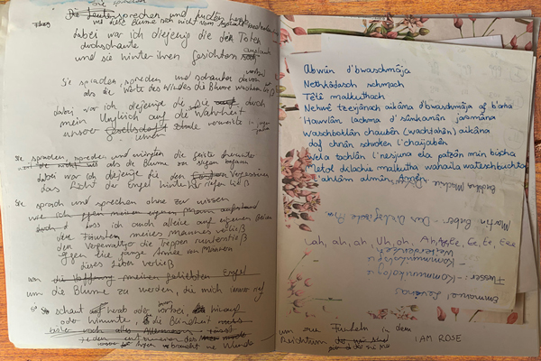 notes and sketches of anina rubin's notebook